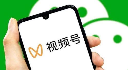 在线成人版快手视频直播,激情四溢的夜生活盛宴