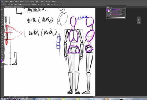 成人骨骼设计教程视频,成人骨骼结构解析与设计教程视频概览