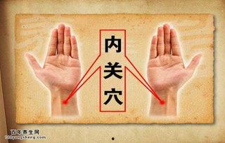 成人疝气中医视频讲解,中医视角下的成人疝气防治之道