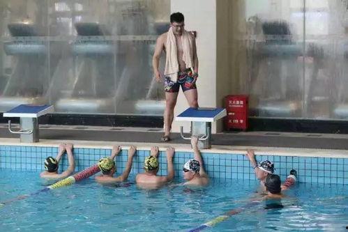 成人游泳泳裤怎么穿视频,成人游泳泳裤正确穿戴教学视频概述