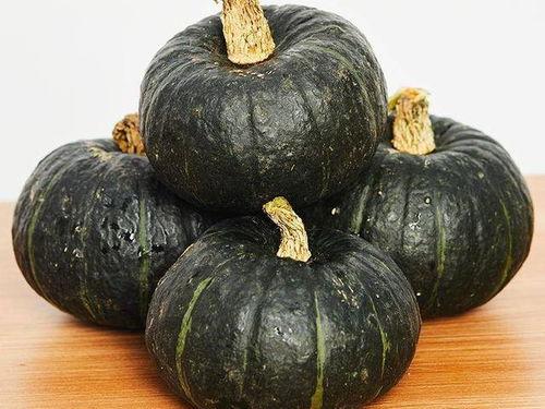 南瓜成人生活视频,揭秘现代都市人的情感与生活状态