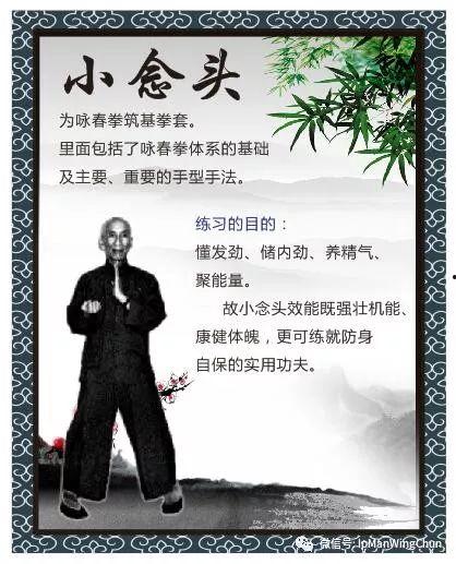成人咏春拳教程视频大全,系统学习传统武术精髓