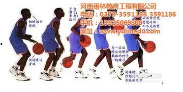 篮球成人培训视频教程