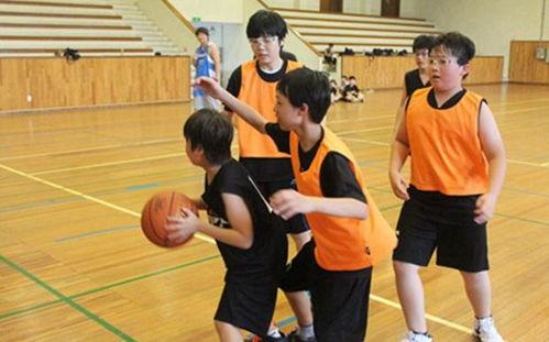 篮球成人培训视频教程